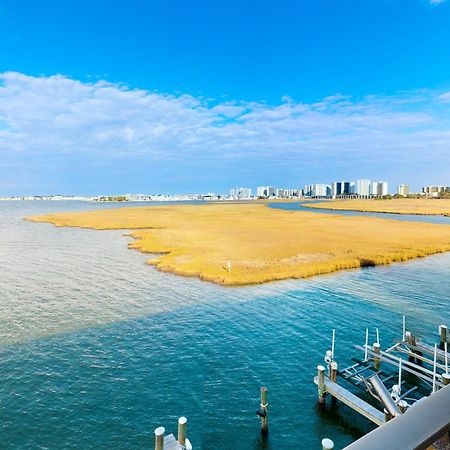 Pintail Point Condos Ocean City Bilik gambar